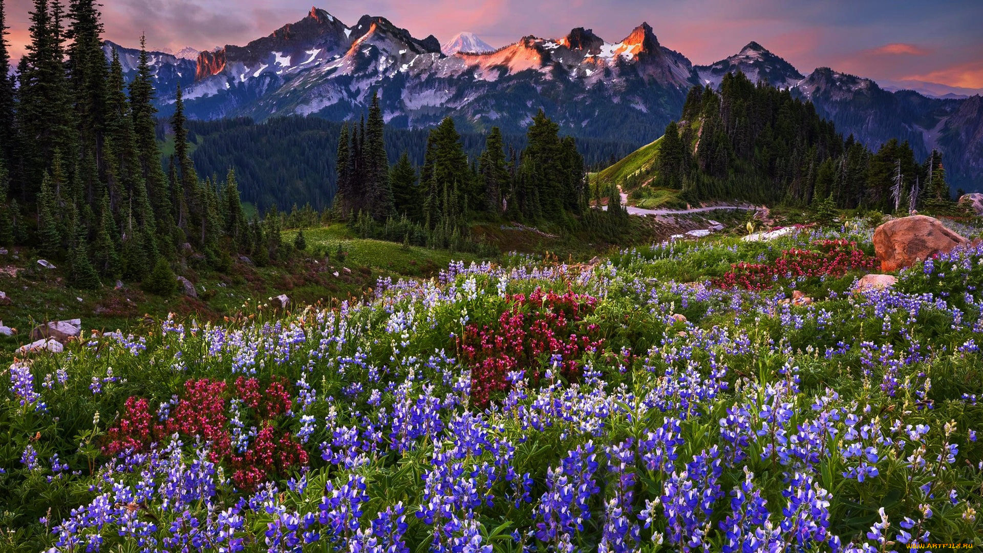 np mount rainier, usa, , , np, mount, rainier